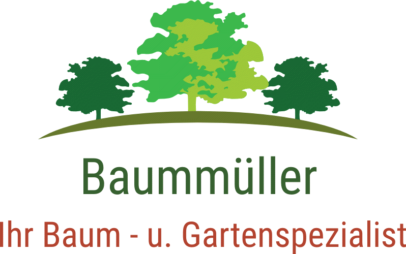 Baummüller