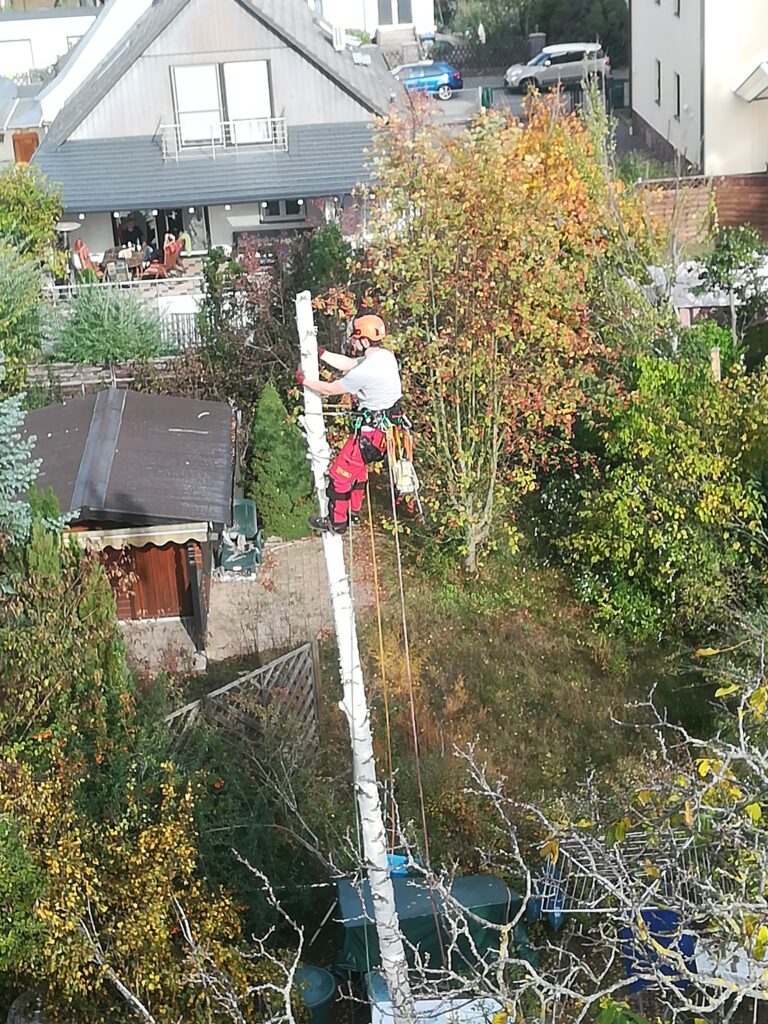 Baummüller Baum u. Gartenspezialist Berlin